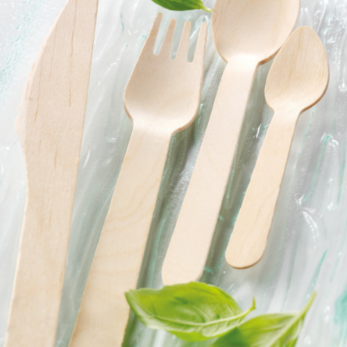 Disposable Cutlery & Misc