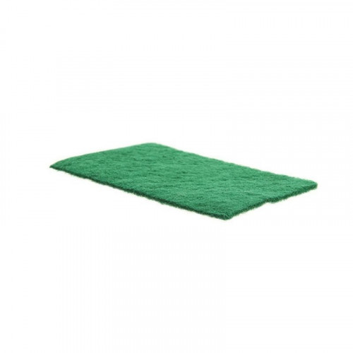 green scourer pad