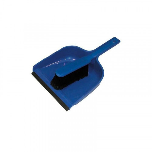 blue dustpan & soft brush set